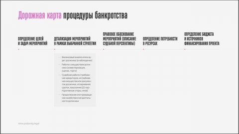 Спикер по госуправлению Радмила Радзивил — видео выступления