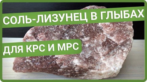 Ансамбль «СОЛИС» — видео выступления
