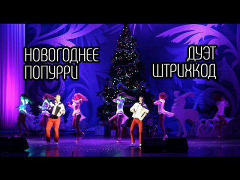 Дуэт аккордеонистов «Штрихкод» — видео выступления