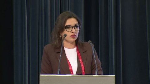 Спикер по госуправлению Юлия Лещук — видео выступления