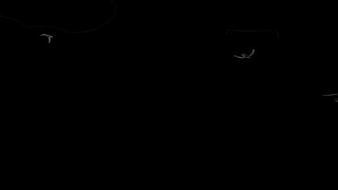Лазерное шоу Skyfire — видео выступления